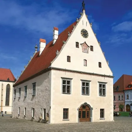 V Centre Mesta Apartament *